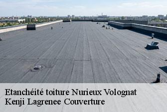 Etanchéité toiture  nurieux-volognat-01460 Kenji Lagrenee Couverture