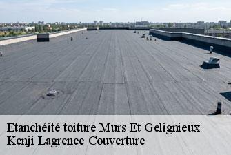Etanchéité toiture  murs-et-gelignieux-01300 Kenji Lagrenee Couverture