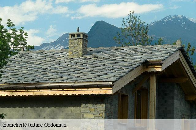 Etanchéité toiture  ordonnaz-01510 