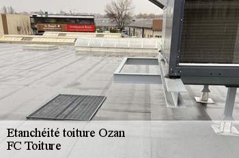 Etanchéité toiture  ozan-01190 