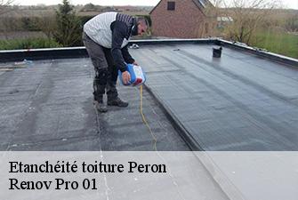 Etanchéité toiture  peron-01630 Renov Pro 01