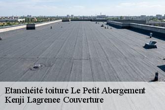 Etanchéité toiture le-petit-abergement-01260 Kenji Lagrenee Couverture