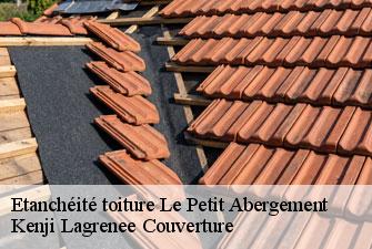 Etanchéité toiture le-petit-abergement-01260 Kenji Lagrenee Couverture