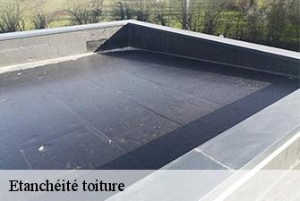 Etanchéité toiture  le-petit-abergement-01260 Renov Pro 01