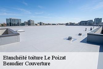 Etanchéité toiture  le-poizat-01130 Beaudier Couverture 
