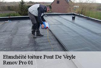 Etanchéité toiture  pont-de-veyle-01290 Renov Pro 01