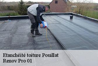 Etanchéité toiture  pouillat-01250 Renov Pro 01