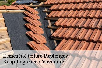 Etanchéité toiture replonges-01620 Kenji Lagrenee Couverture