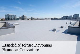 Etanchéité toiture  revonnas-01250 Beaudier Couverture 
