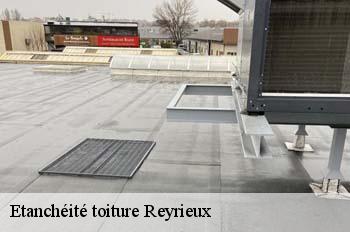 Etanchéité toiture  reyrieux-01600 