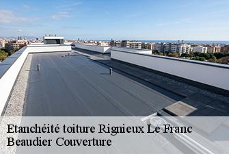 Etanchéité toiture  rignieux-le-franc-01800 Beaudier Couverture 