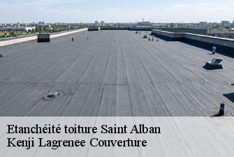 Etanchéité toiture  saint-alban-01450 Kenji Lagrenee Couverture