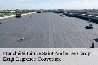 Etanchéité toiture  saint-andre-de-corcy-01390 Kenji Lagrenee Couverture