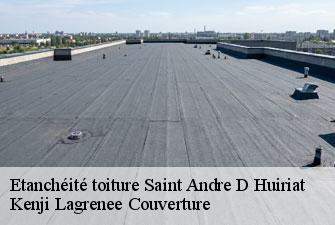 Etanchéité toiture  saint-andre-d-huiriat-01290 Kenji Lagrenee Couverture