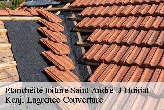 Etanchéité toiture  saint-andre-d-huiriat-01290 Kenji Lagrenee Couverture