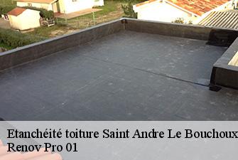 Etanchéité toiture  saint-andre-le-bouchoux-01240 Renov Pro 01