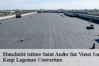 Etanchéité toiture  saint-andre-sur-vieux-jonc-01240 Kenji Lagrenee Couverture
