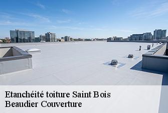Etanchéité toiture  saint-bois-01300 Beaudier Couverture 
