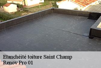 Etanchéité toiture  saint-champ-01300 Renov Pro 01