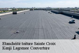 Etanchéité toiture sainte-croix-01120 Kenji Lagrenee Couverture