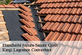 Etanchéité toiture sainte-croix-01120 Kenji Lagrenee Couverture