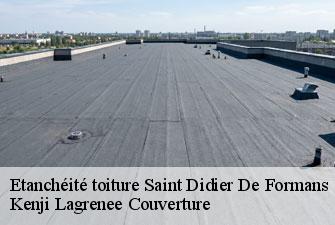 Etanchéité toiture saint-didier-de-formans-01600 Kenji Lagrenee Couverture