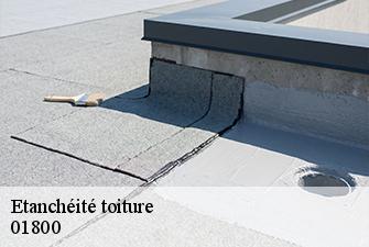 Etanchéité toiture  saint-eloi-01800 Beaudier Couverture 