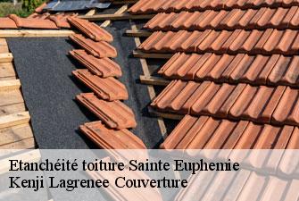 Etanchéité toiture sainte-euphemie-01600 Kenji Lagrenee Couverture