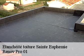 Etanchéité toiture sainte-euphemie-01600 Renov Pro 01