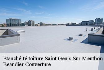 Etanchéité toiture  saint-genis-sur-menthon-01380 Beaudier Couverture 