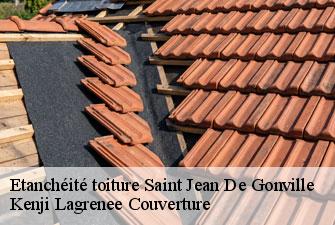 Etanchéité toiture  saint-jean-de-gonville-01630 Kenji Lagrenee Couverture