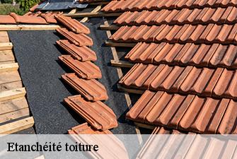 Etanchéité toiture  saint-jean-le-vieux-01640 Beaudier Couverture 