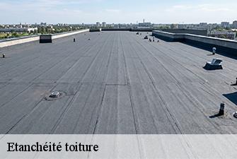 Etanchéité toiture  saint-jean-le-vieux-01640 Beaudier Couverture 
