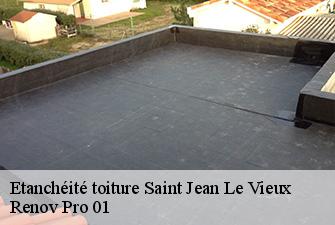 Etanchéité toiture  saint-jean-le-vieux-01640 Renov Pro 01