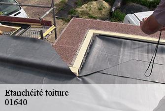 Etanchéité toiture  saint-jean-le-vieux-01640 Renov Pro 01