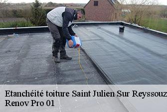 Etanchéité toiture  saint-julien-sur-reyssouze-01560 Renov Pro 01