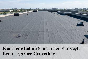 Etanchéité toiture saint-julien-sur-veyle-01540 Kenji Lagrenee Couverture
