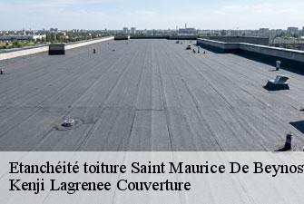 Etanchéité toiture  saint-maurice-de-beynost-01700 Kenji Lagrenee Couverture