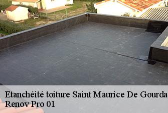 Etanchéité toiture  saint-maurice-de-gourdans-01800 Renov Pro 01