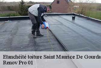 Etanchéité toiture  saint-maurice-de-gourdans-01800 Renov Pro 01