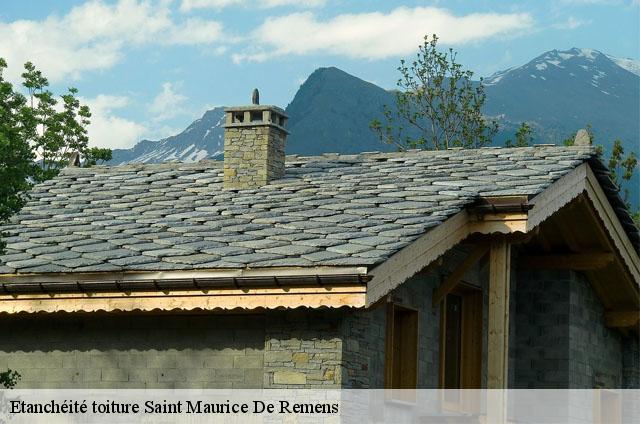 Etanchéité toiture  saint-maurice-de-remens-01500 