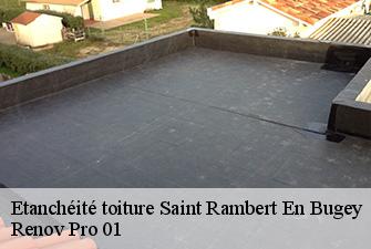 Etanchéité toiture  saint-rambert-en-bugey-01230 Renov Pro 01