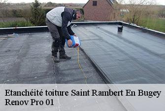 Etanchéité toiture  saint-rambert-en-bugey-01230 Renov Pro 01