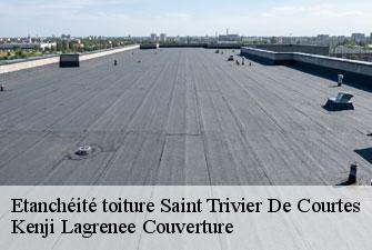 Etanchéité toiture saint-trivier-de-courtes-01560 Kenji Lagrenee Couverture
