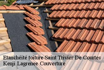 Etanchéité toiture saint-trivier-de-courtes-01560 Kenji Lagrenee Couverture