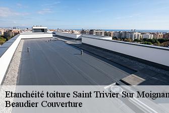 Etanchéité toiture  saint-trivier-sur-moignans-01990 Beaudier Couverture 