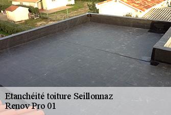 Etanchéité toiture  seillonnaz-01470 Renov Pro 01