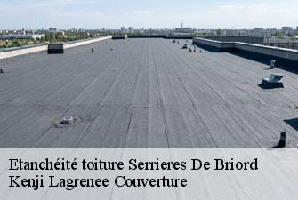 Etanchéité toiture serrieres-de-briord-01470 Kenji Lagrenee Couverture