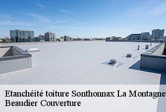 Etanchéité toiture  sonthonnax-la-montagne-01580 Beaudier Couverture 