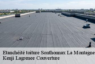 Etanchéité toiture sonthonnax-la-montagne-01580 Kenji Lagrenee Couverture